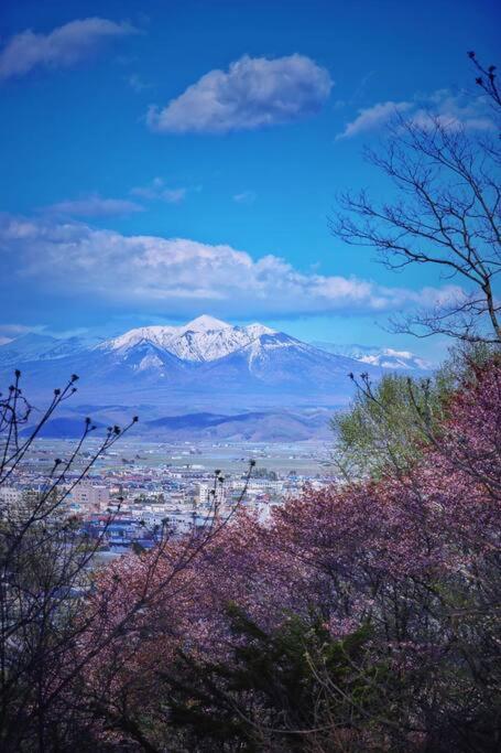 Furano Cube Sugar-方糖民宿,步行8Min到雪场,3 Brs,Max 6Ppl Eksteriør billede